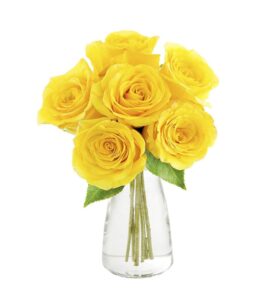 Yellow Roses Classic Dozen Yellow Rose Bouquet