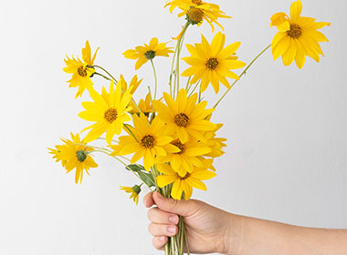 Artvin Çiçek Modelleri